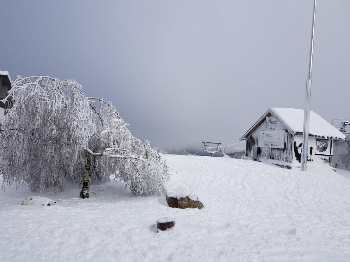 Peak 105 Lägenhet Mount Buller Exteriör bild